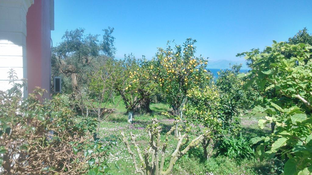 Maria'S Paradise Αστρακερή Εξωτερικό φωτογραφία