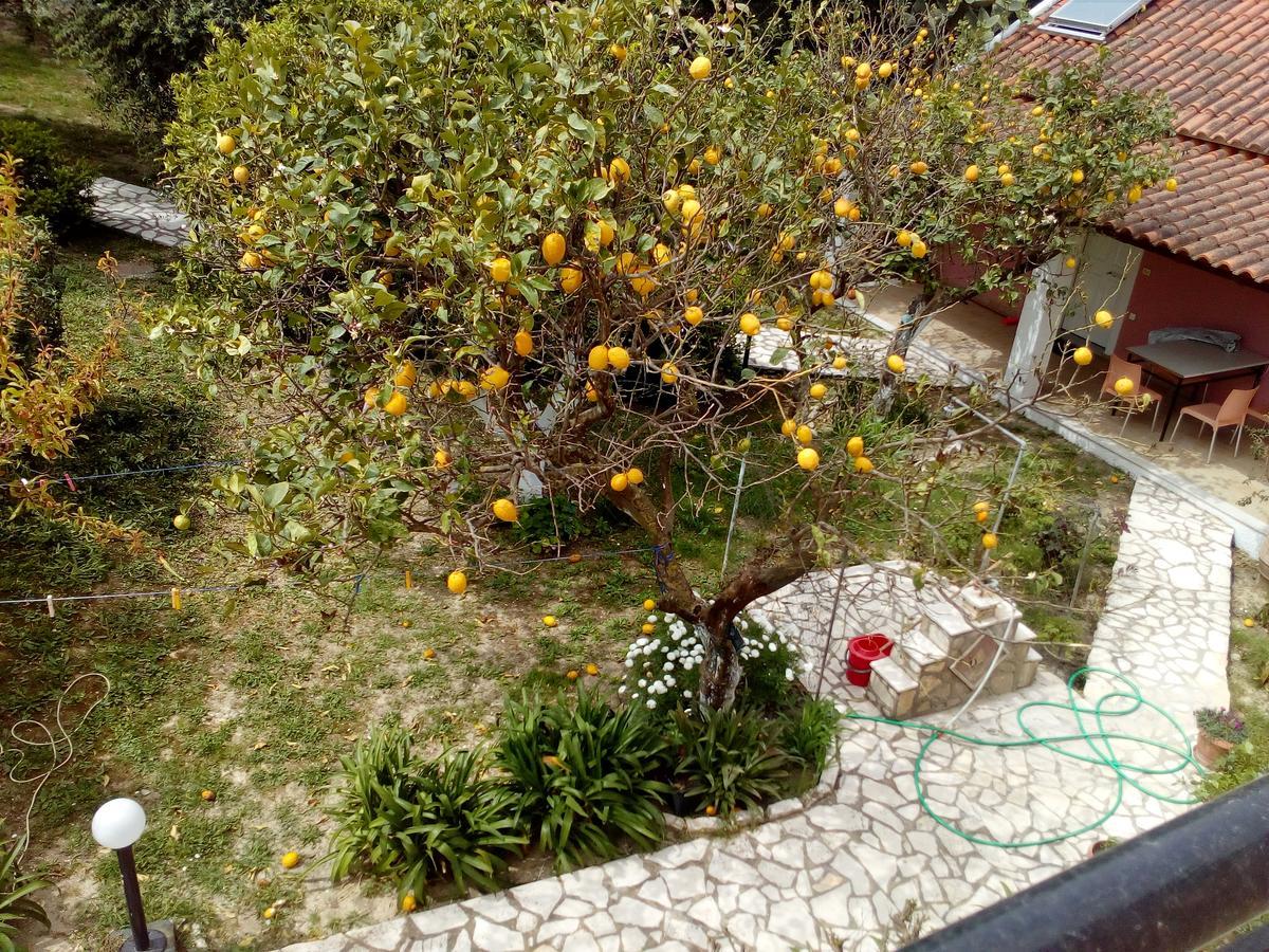 Maria'S Paradise Αστρακερή Εξωτερικό φωτογραφία