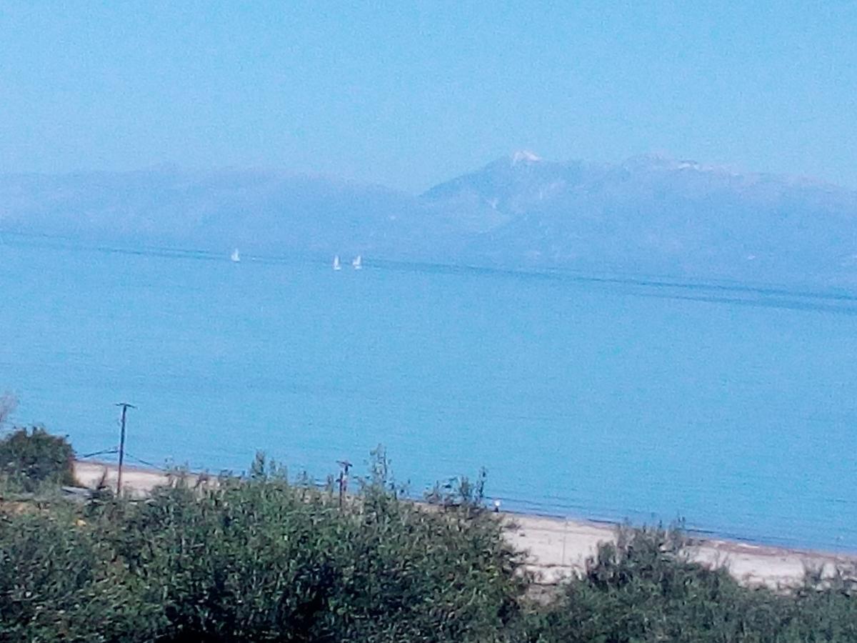Maria'S Paradise Αστρακερή Εξωτερικό φωτογραφία