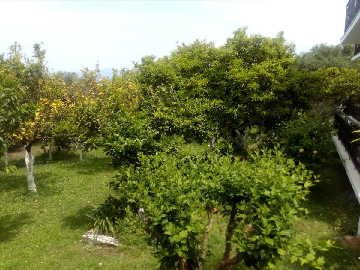 Maria'S Paradise Αστρακερή Εξωτερικό φωτογραφία