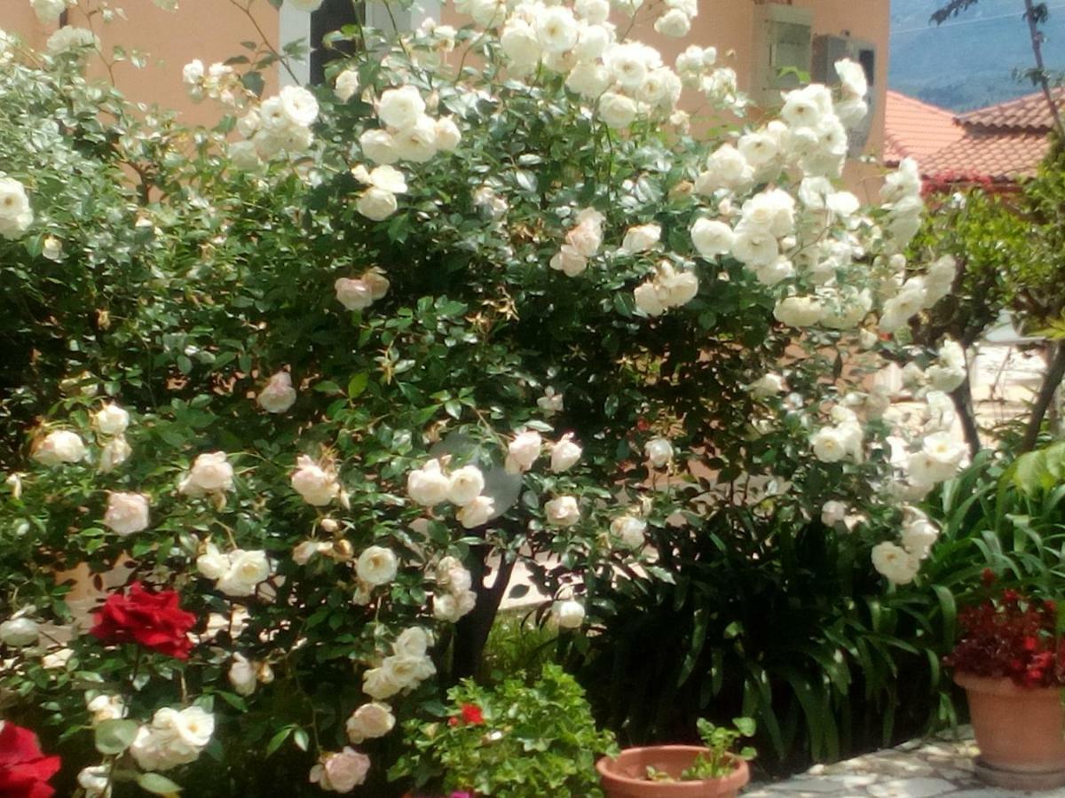 Maria'S Paradise Αστρακερή Εξωτερικό φωτογραφία