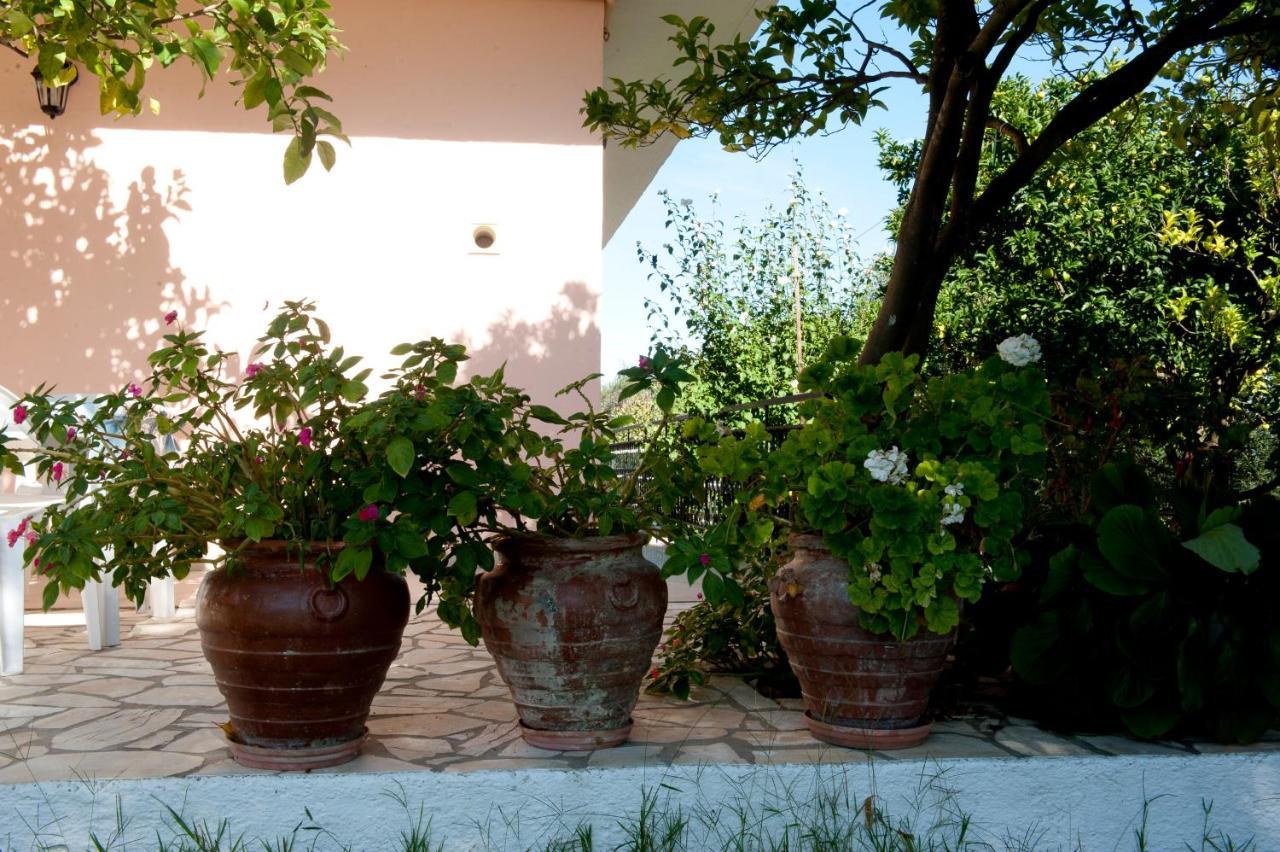 Maria'S Paradise Αστρακερή Εξωτερικό φωτογραφία